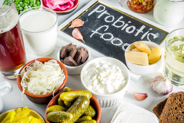 Aliments probiotics