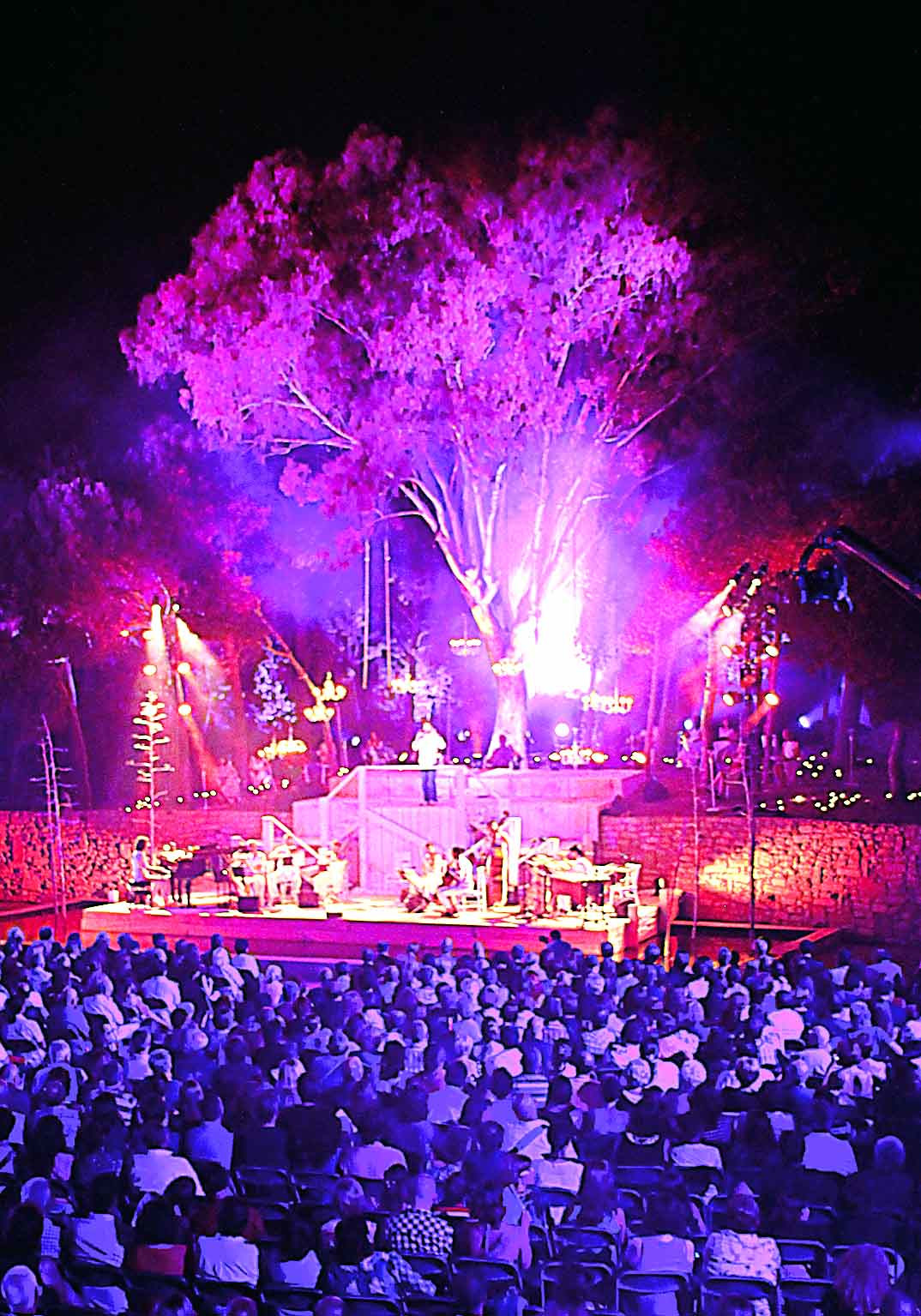 Any Espriu   espectacle plaça de la sardana del parc de lurdes    juliol 2013    xs