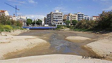 Web riera