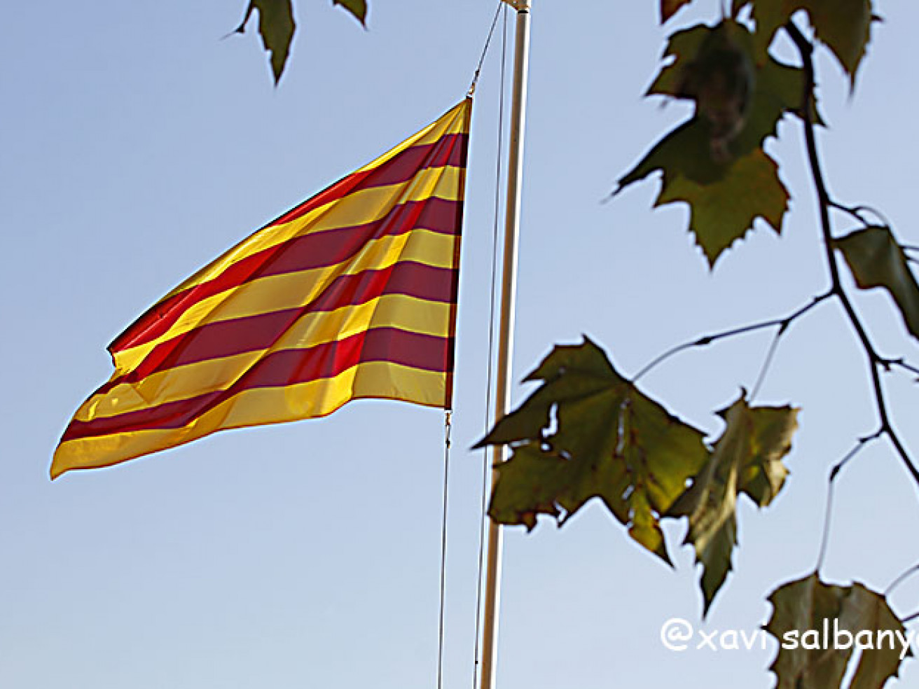 Diada Nacional 2021