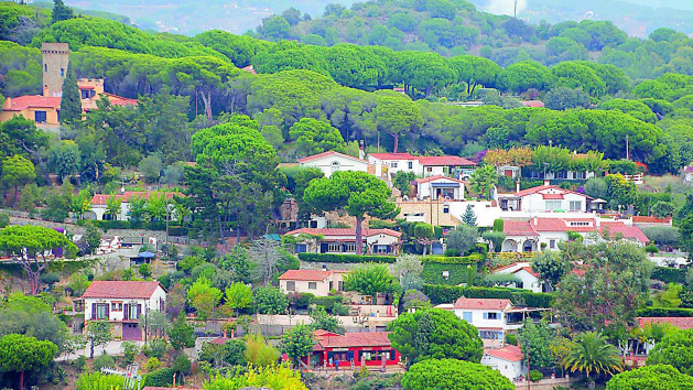 Consol andersen   xs