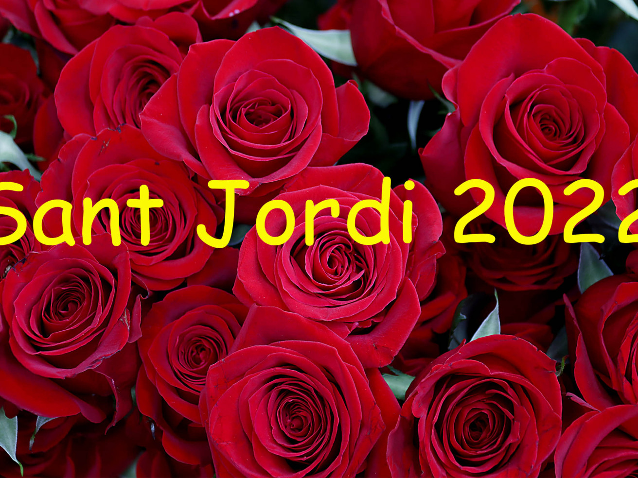 Sant Jordi 2022