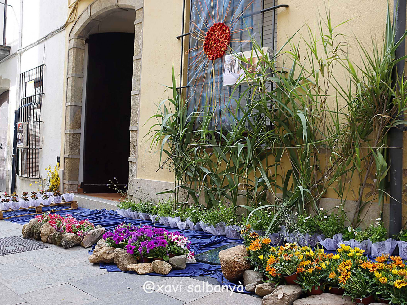 Arenys de Flors
