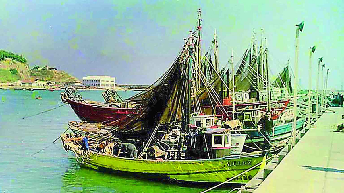 Barques al port  foto planells