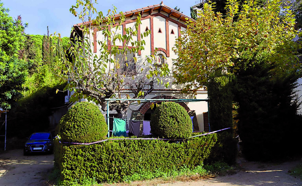 Colonia andersen   xs