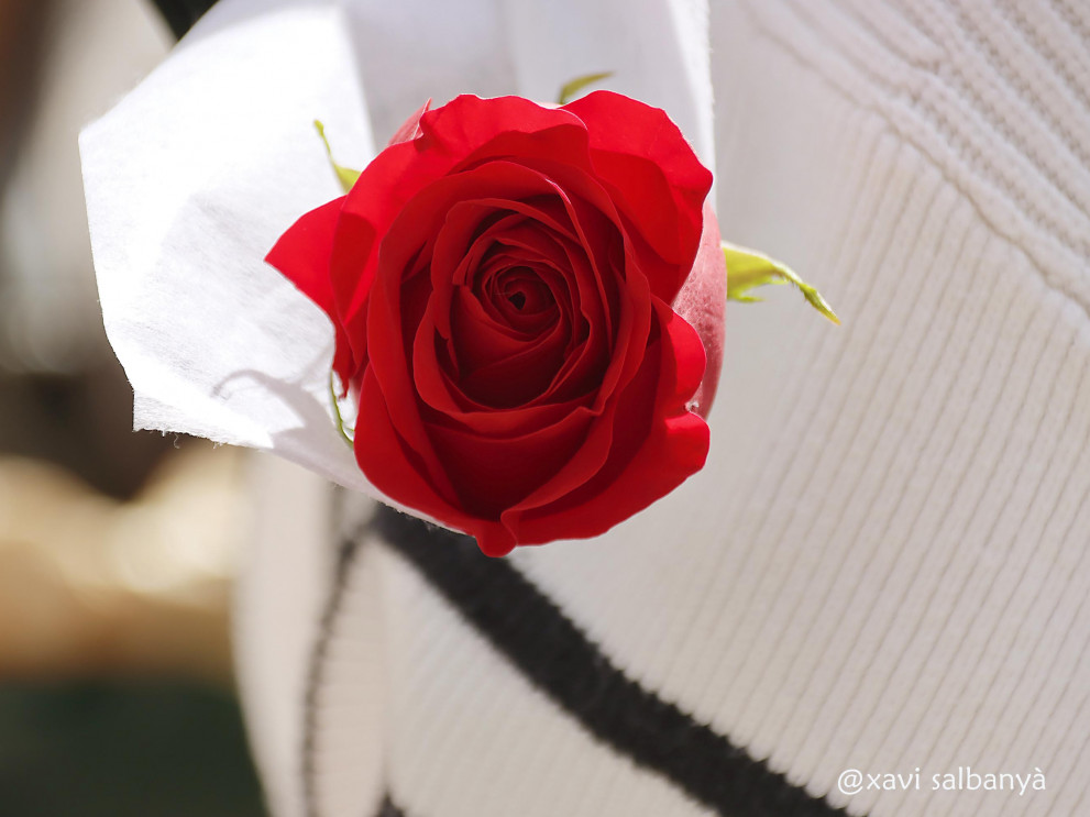 St. Jordi '25