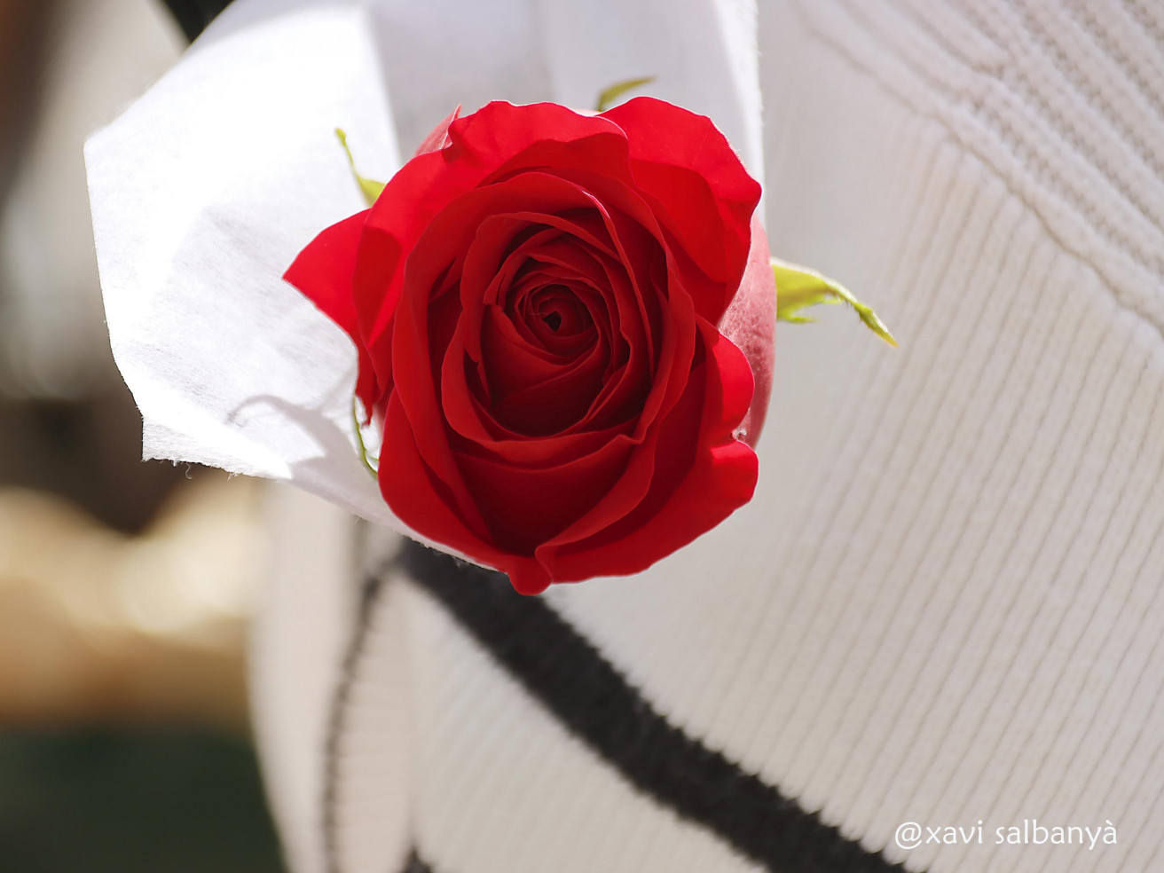 St. Jordi '25