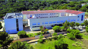 Institut   carlos cano