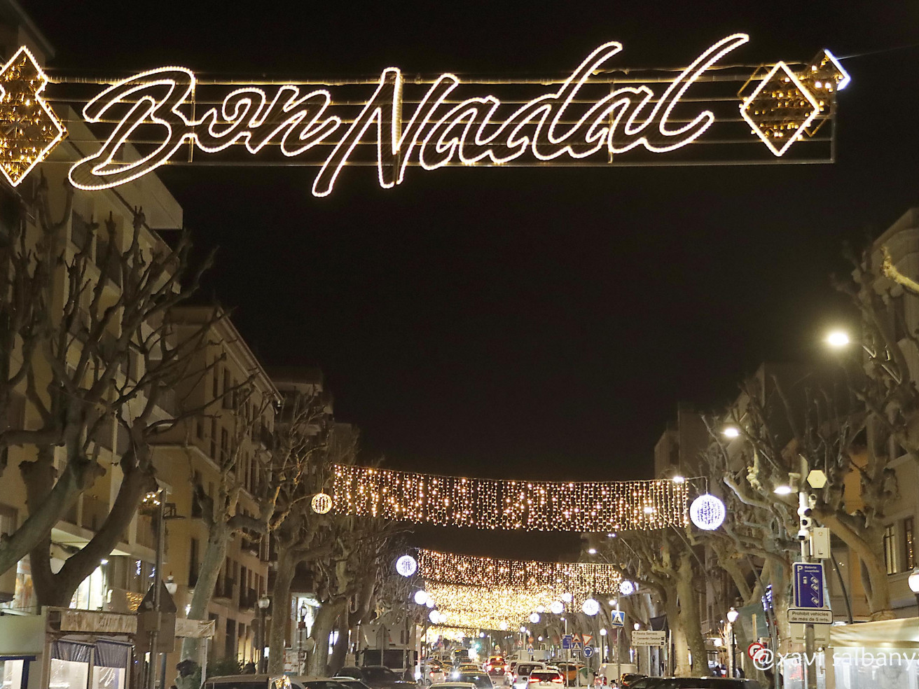 Tions i Llums de Nadal