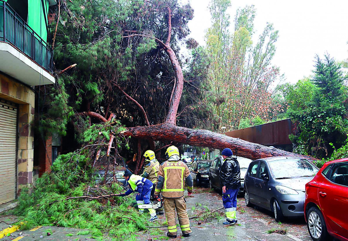 Pi caigut arenys   XS